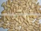 Blanched Peanut