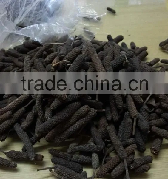 LONG PEPPER