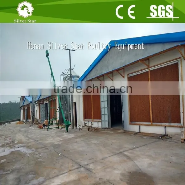 Poultry Farm Use Steel Structure for Battery Broiler Chicken Coop photo-6