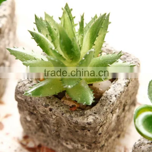 2016 Latest Design Artificial Succulent Pot Succulent Plants For Sale photo-3