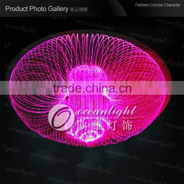2015 Best Popular Pepper Shape Led Fiber Optic Lights With Remote Controller Twinkle Color photo-6
