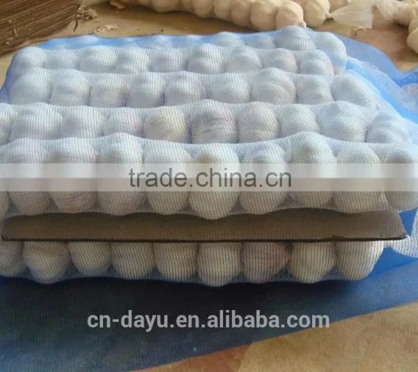 Red White Garlic Supplier 2016 photo-6