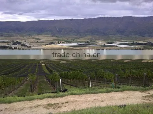 Anti Bird Net for Shrimp Farming photo-5