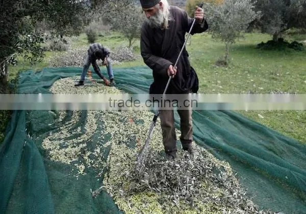 UV Treated Olive Harvest Net photo-4