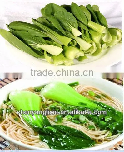 Mini Hot Sell High Quality Automatic Instant Noodle Making Machine photo-4