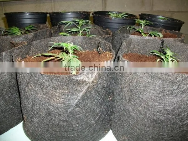 Degradable Pots for Three Nonwoven Plant Grow Bags (1 Gal to 1200 Gal) photo-3