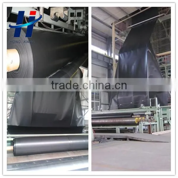Waterproof Geomembrane Material for Landfill Liner photo-5