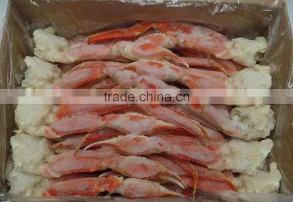 Snow Crab photo-2