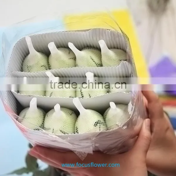 Export Fresh Cut Roses Flowers Tineke Rose Flower From Kunming photo-6