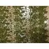 Dark Green Chemical Lace Fabric Cotton ,Eyelet Lace Fabric