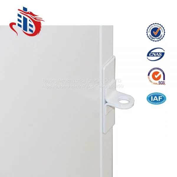 Luoyang Fenglong Office Furniture Steel Cupboard Storage Cabinet With Metal Two 2 Swing Door photo-4