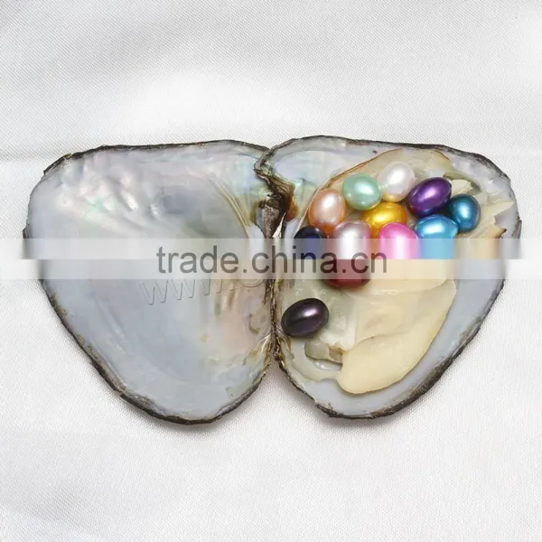 Raw Pearlsfreshwater Cultured Love Wish 9-9.5mm Colored Oyster Pearls photo-4