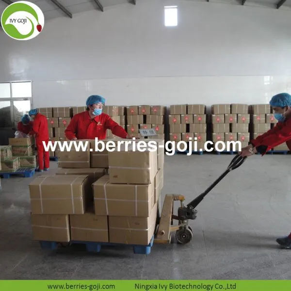 Factory Supply Nutrition Dried Organic Goji photo-4