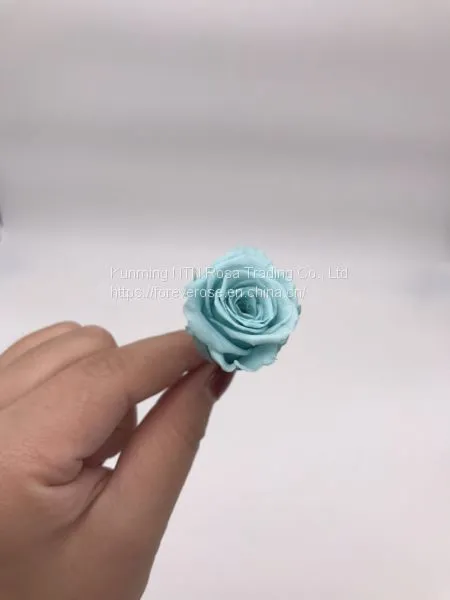 Factory Supply Best Selling Red Preserved Roses at Cheapest Price photo-5