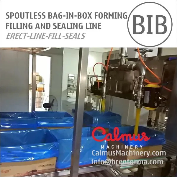 Bag in Box Line for Packaging Margarine Butter photo-4