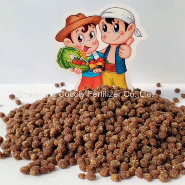 Cocoly Water Soluble Fertilizer for All Irrigation photo-2