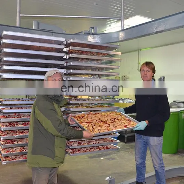 Continuous Commercial Food Freeze Dryer Customized 1000kg Fruit Freeze Dryer Sale Price photo-2