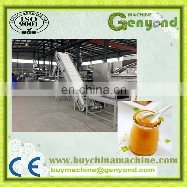 China Full- Auto Industrial Mango Juice Jam Mango Juice Processing Machine photo-4