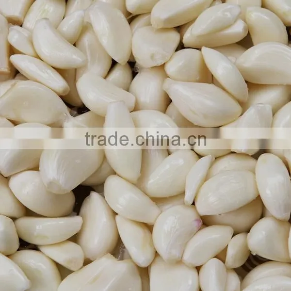 Stainless Steel Garlic Paste Grinding Machine|Large Model Mashed Garlic Making Machine photo-3