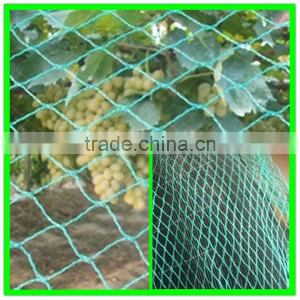 Anti Bird Net for Shrimp Pond Cover/vineyard Bird Mesh photo-2