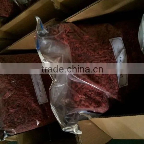 Zero Pesticide Residues Dried Goji Berry Fruit in Hot Selling photo-5