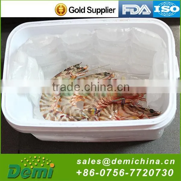 SAP Material Food Use Mini Ice Pack photo-3