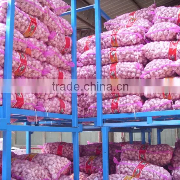 4-6cm Normal White Garlic