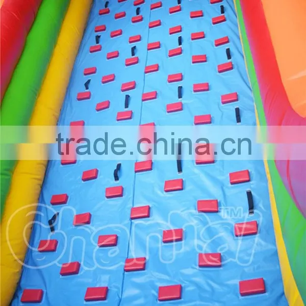Giant Inflatable Water Slide Decal Paper Ball Bearing Slide for Adult photo-2