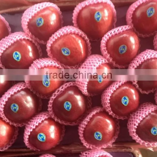 Chinese Huaniu Apple Exporting photo-6
