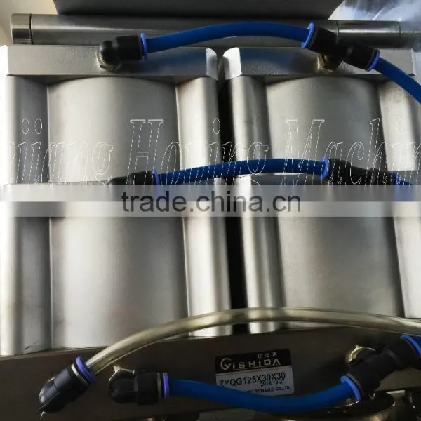 PBZ-260S Ampoule Vial Packing Production Line photo-3