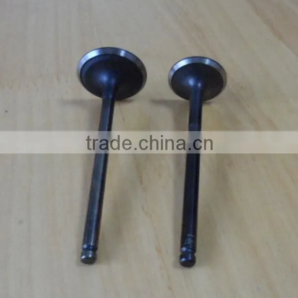 056109601A & 056109611A Engine Valve for Passat photo-5