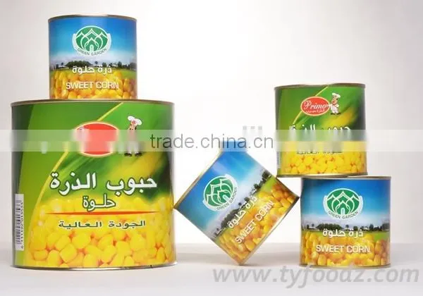 Good Taste Canned Sweet Corn A9/A10 for Europe Market photo-3