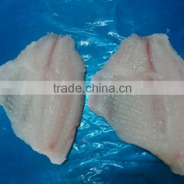 Frozen Tilapia Fillet photo-4