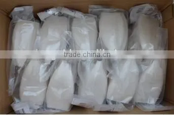 Whole Frozen Squid Tube U5,U7,U10-U20 photo-2