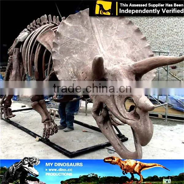 MY Dino-C087 Amusement Park Life Size Triceratops Skeleton photo-5