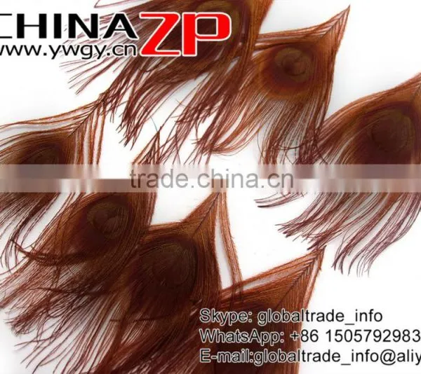 CHINAZP Factory Bulk Sale Top Selling Dyed Brown Trimmed Short Peacock Feathers for Clothes Accessories photo-2