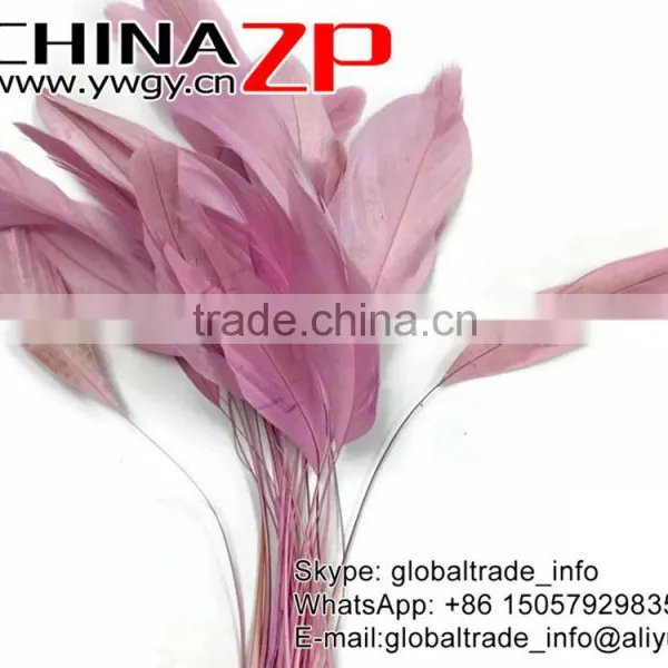Leading Supplier CHINAZP 10-15cm Length Decorative Dyed Light Pink Stripped Coque Chicken Tail Feathers photo-3