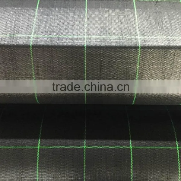 PP Plastic Ground Cover Weed Net photo-4