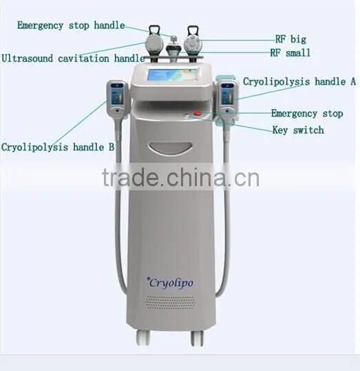 Weight Loss 2015 Hot Sales!! The Cryolipolysis Body Slimming Vacuum Fat Freeze Machine With Good Effects And Professional Engineers 220 / 110V photo-5