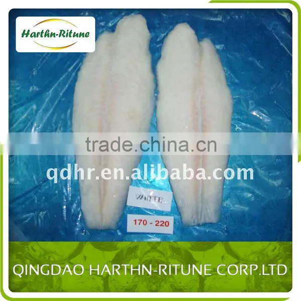 Frozen Pangasius Fillet