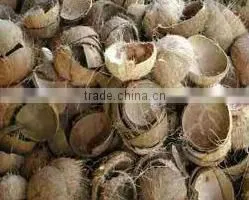 High Quaity Cheap Raw Coconut Shell