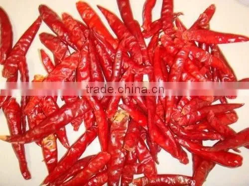 BEST QUALITY HOT RED CHILI FOR SUPPLY photo-5