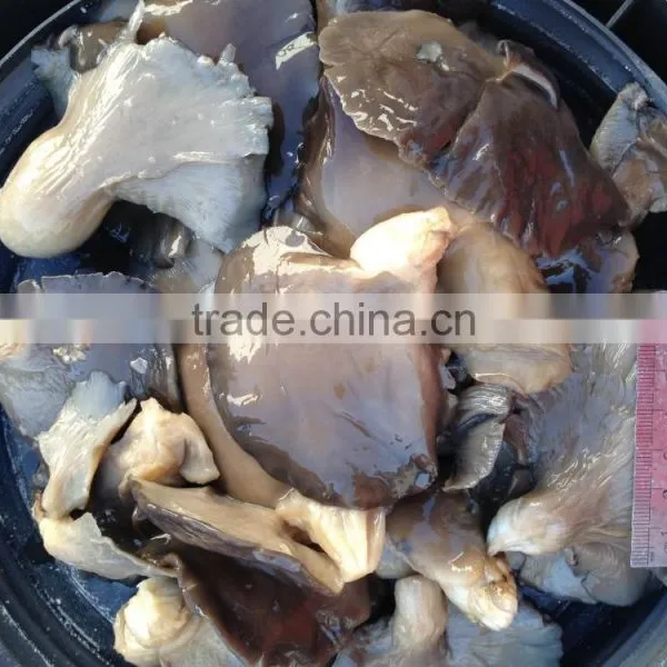 Pleurotus in Brine photo-2