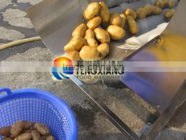MSTP-1000 High Efficiency Sweet Potato Ginger Peeler Peeling Machine photo-6
