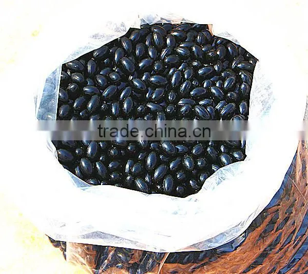 Propolis Capsules Bee Propolis Propolis