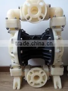 Chemical Resistant Air Duplex Pump for Pumping Seawater photo-5