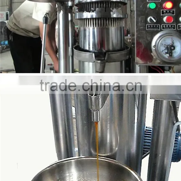 Neweek Vertical Precise Hydraulic Olive Oil Press Machine photo-5