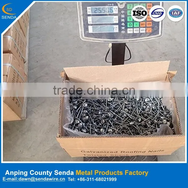BWG9*2" Galvanized Roofing Nails/ Package According to Customer's Requirement photo-2