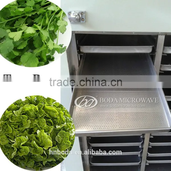Fruit & Vegetable Processing Machines