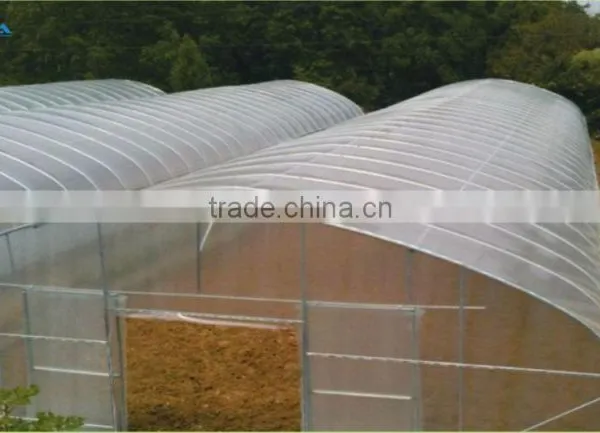 BaoLiDa Agriculture Used Greenhouse photo-3